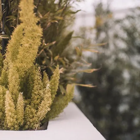 Quinta Torrinha Garden 4* Funchal (Madeira)