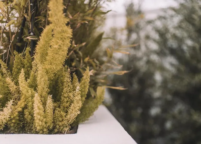 Quinta Torrinha Garden 4* 丰沙尔