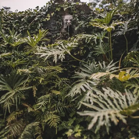 Bed and Breakfast Quinta Torrinha Garden