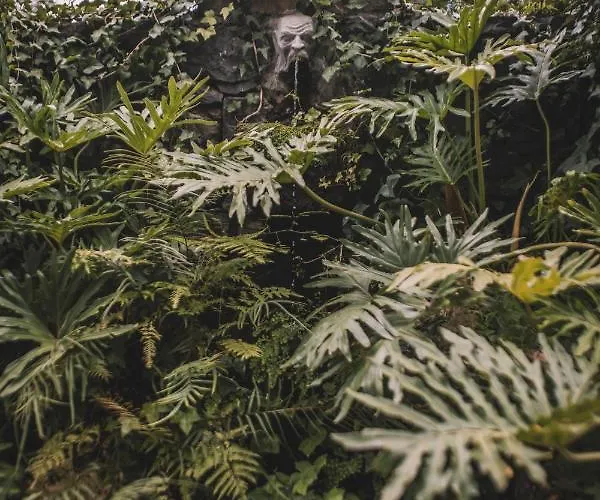 Bed & Breakfast Quinta Torrinha Garden